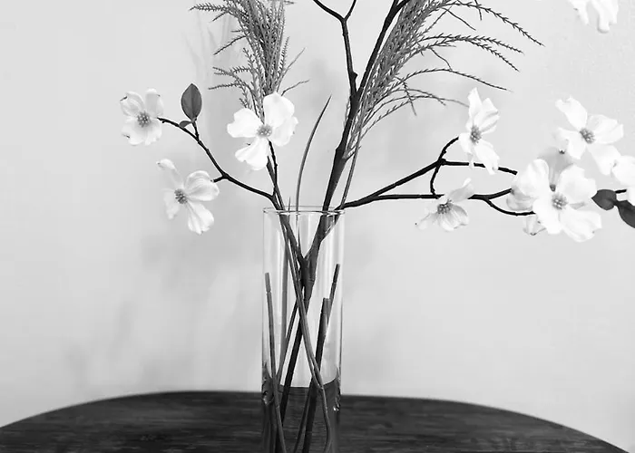 Sonila's 2 3* Bergamo